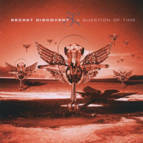 Secret Discovery : A Question of Time